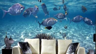 اسعار ورق الجدران للديكور وافضل الانواع 143 اسعار ورق الجدران